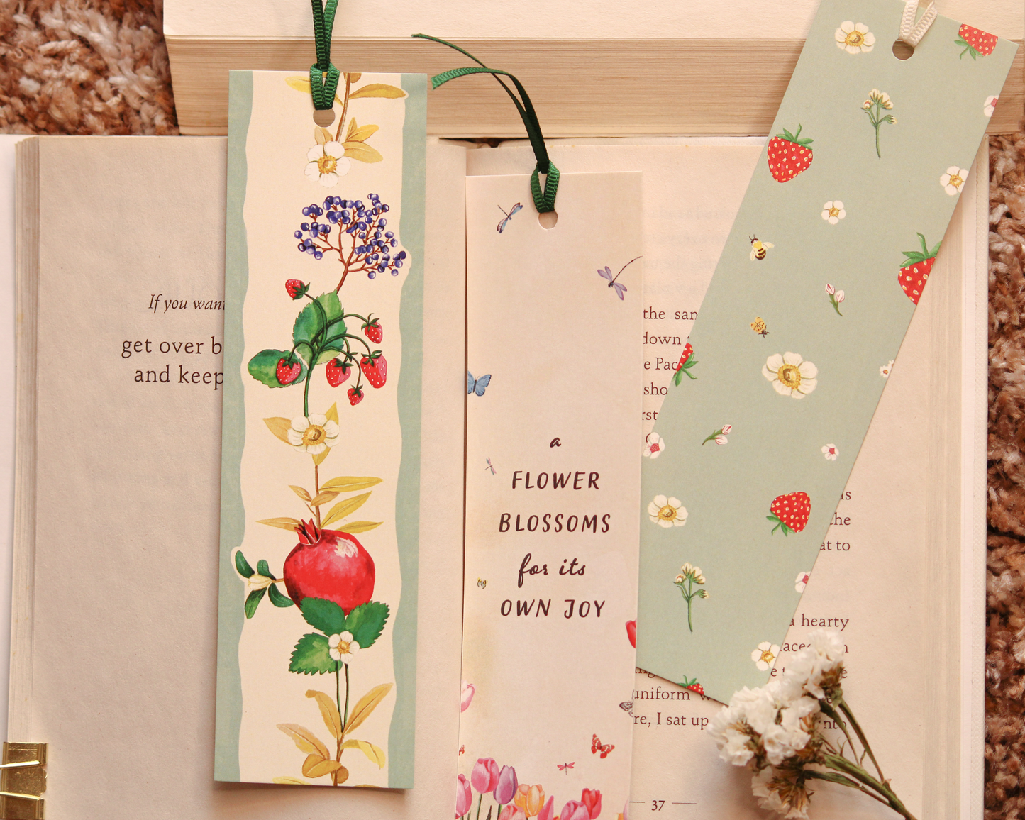 Read And Rest Bookmark Set | Set of 10