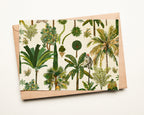 Postcards | Mughal Garden | Set of 3