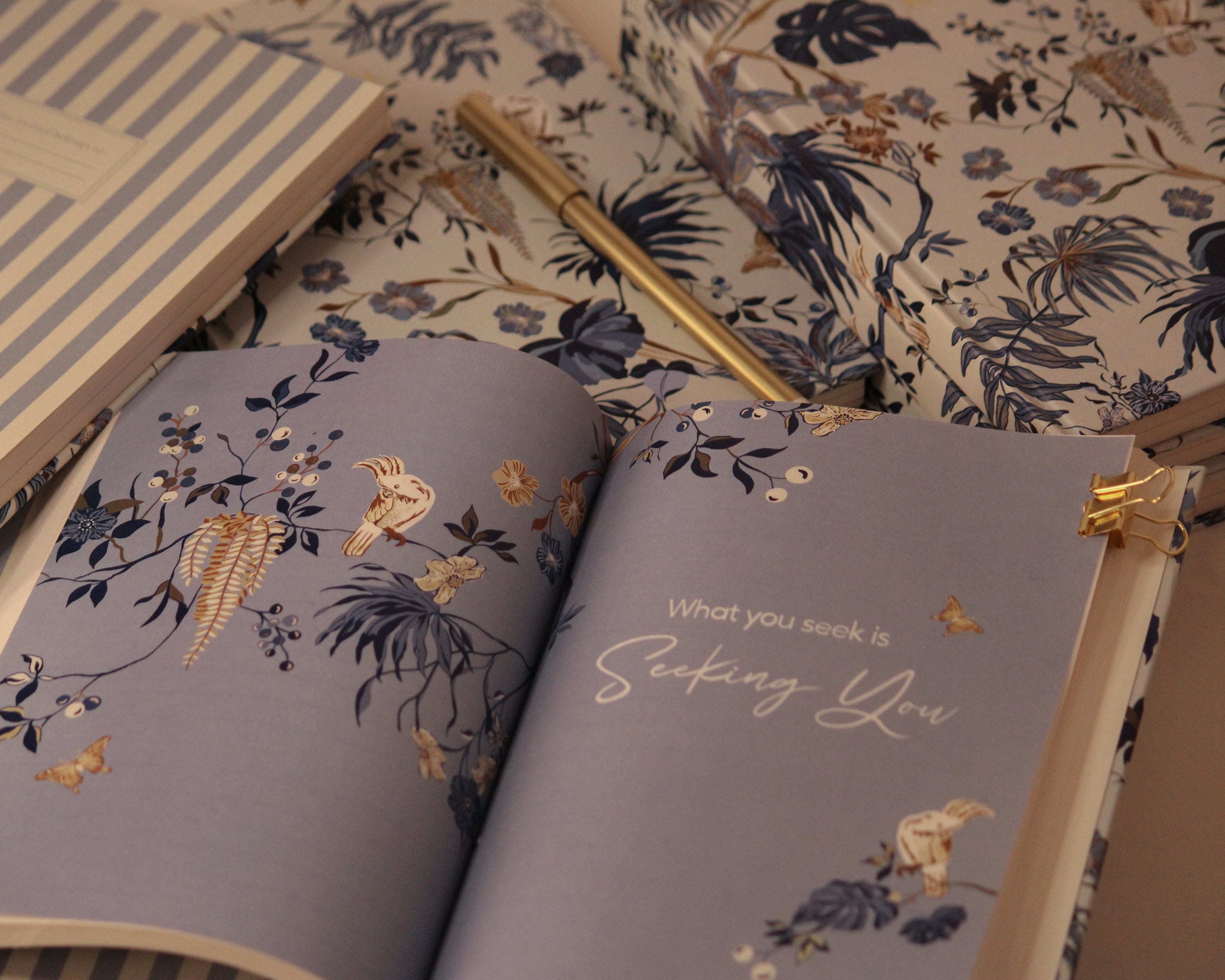 Journal | Bird Song Bliss