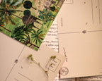 Postcards | Mughal Garden | Set of 3