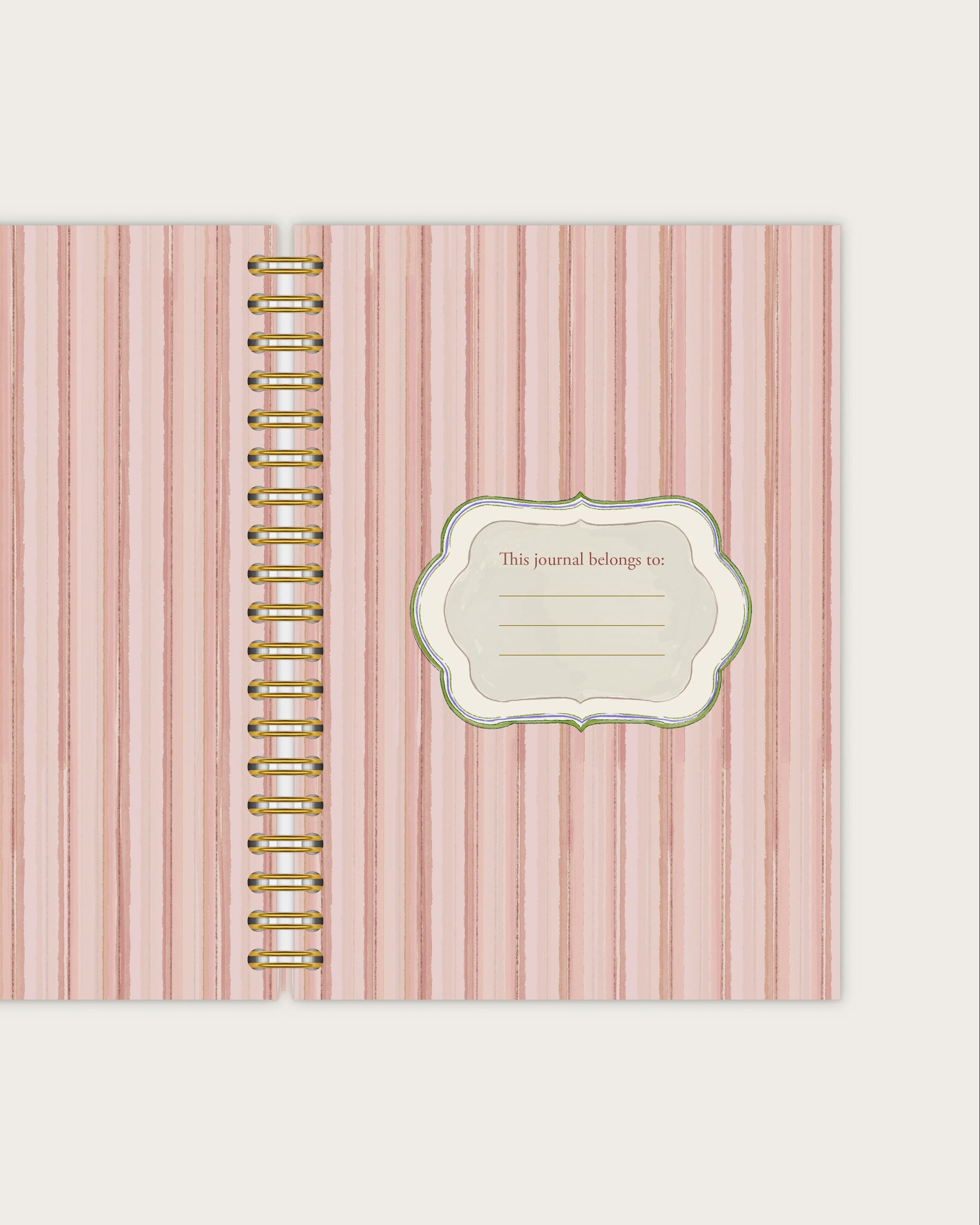 Wiro Journal |  Curio Cat