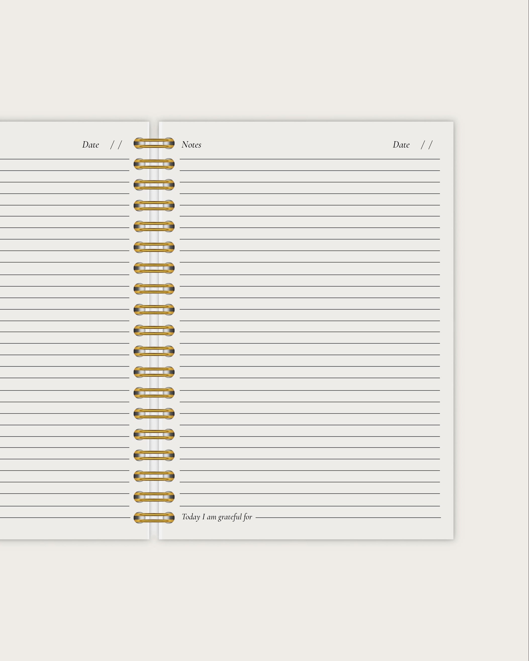 Wiro Journal |  Curio Cat