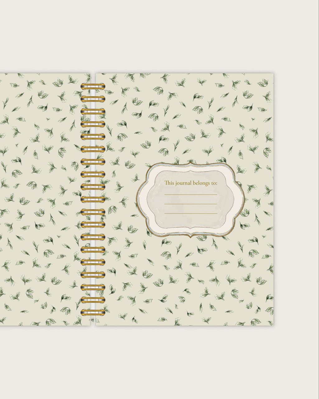 Wiro Journal |  The Meadow