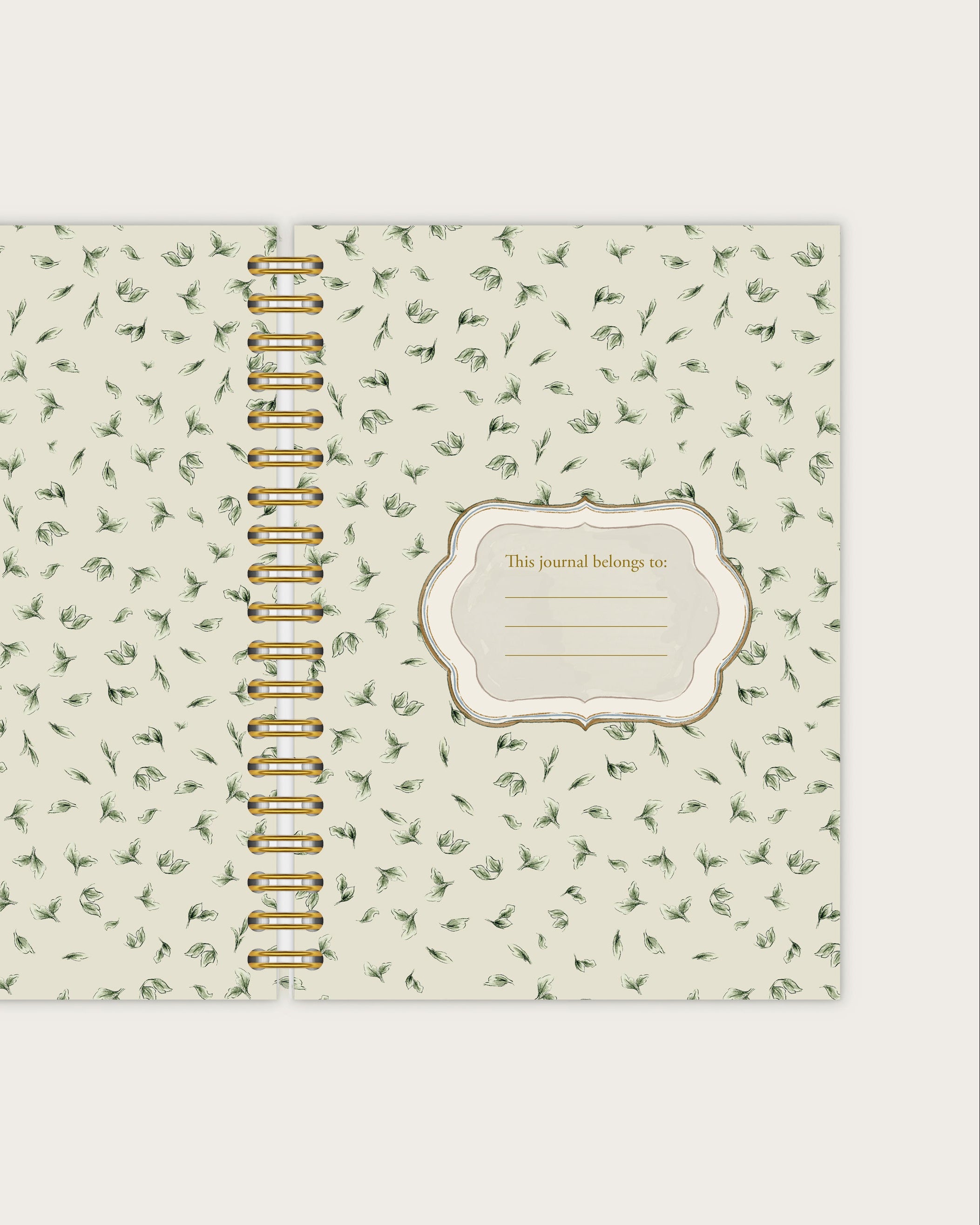 Wiro Journal |  The Meadow