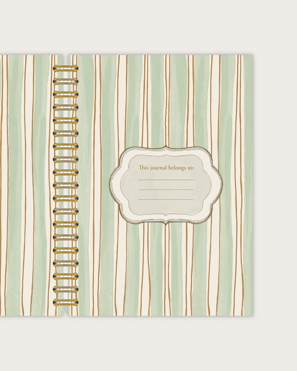 Wiro Journal | Golden Chamomile