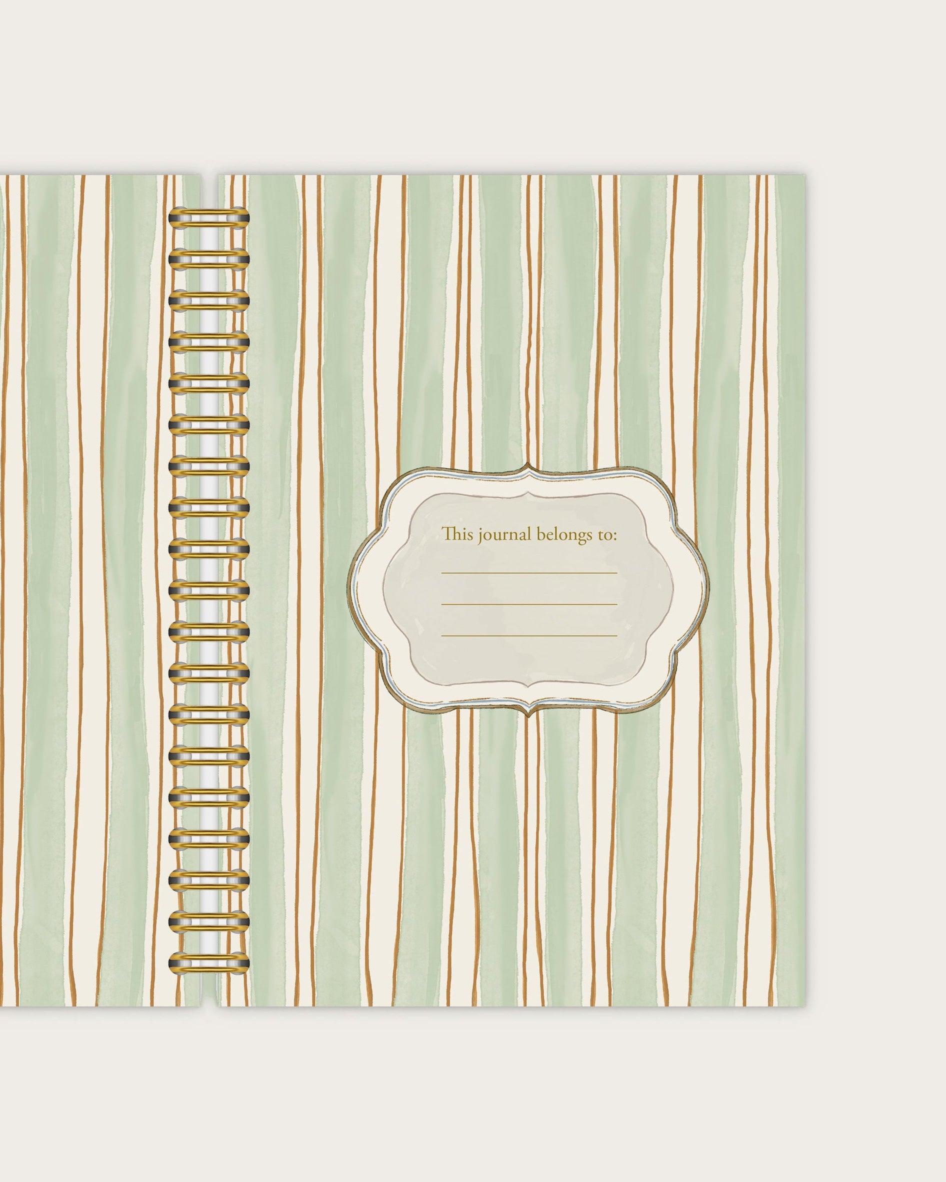 Wiro Journal | Golden Chamomile